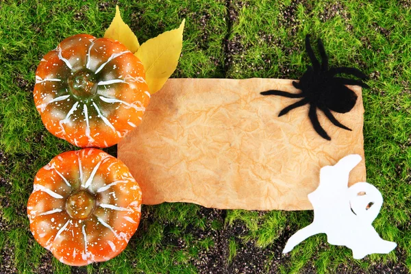 Old paper with Halloween decorations on green moss background — Stock Photo, Image
