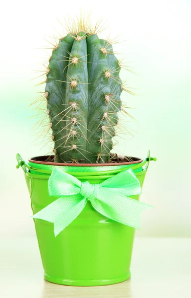 Schöner Kaktus im hellen Eimer auf Holztisch — Stockfoto