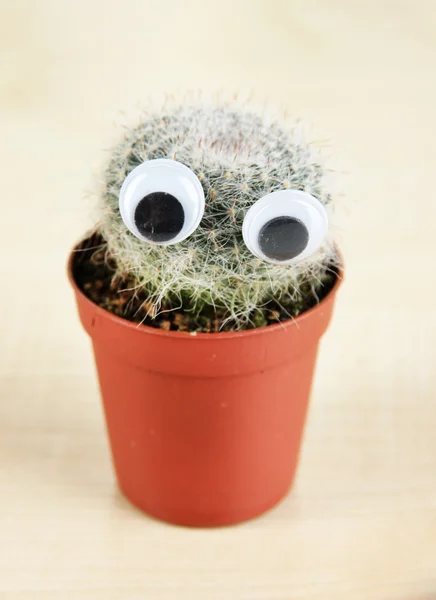 Divertido cactus con ojos en mesa de madera —  Fotos de Stock