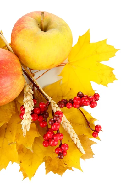 Bella composizione autunnale, isolata su bianco — Foto Stock