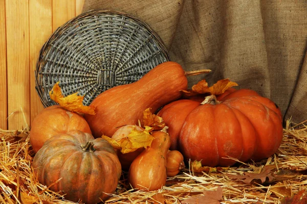 Pumpkins with wicker stand on straw on sackcloth background — Stock Photo, Image