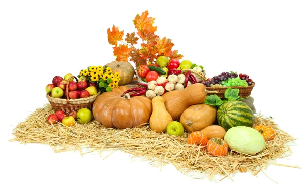 A gyümölcsök és zöldségek elszigetelt fehér összetétele — Stock Fotó