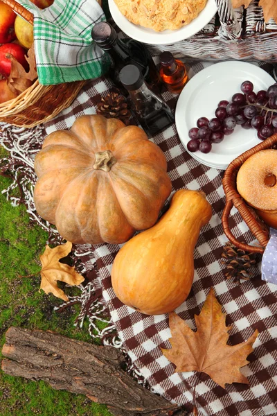 Picnic al aire libre de cerca — Foto de Stock