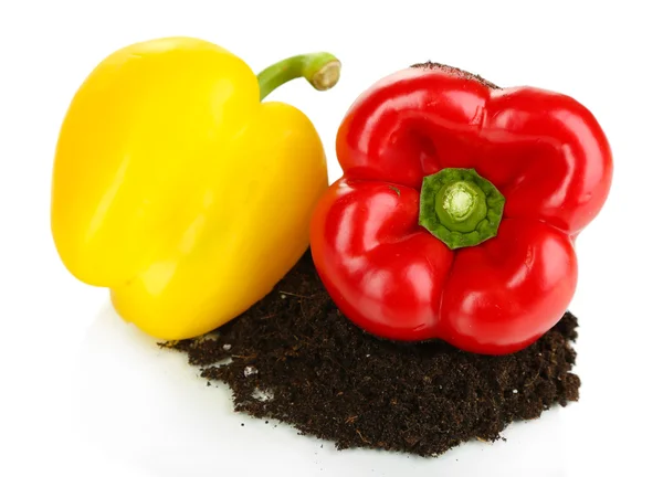 Pimienta roja y amarilla con tierra aislada sobre blanco — Foto de Stock