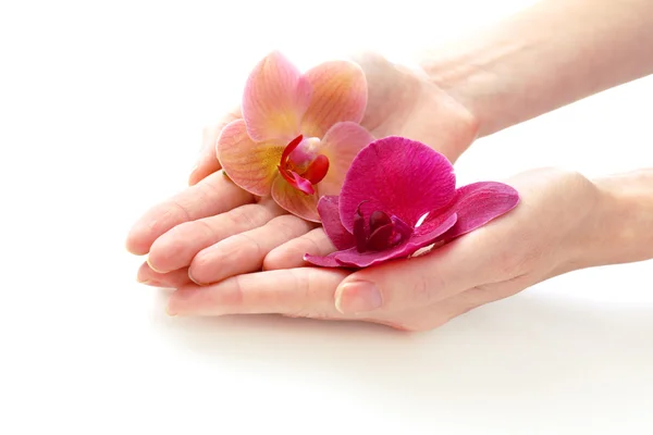 Ręka z pięknych kwiatów orchidei, na białym tle — Zdjęcie stockowe