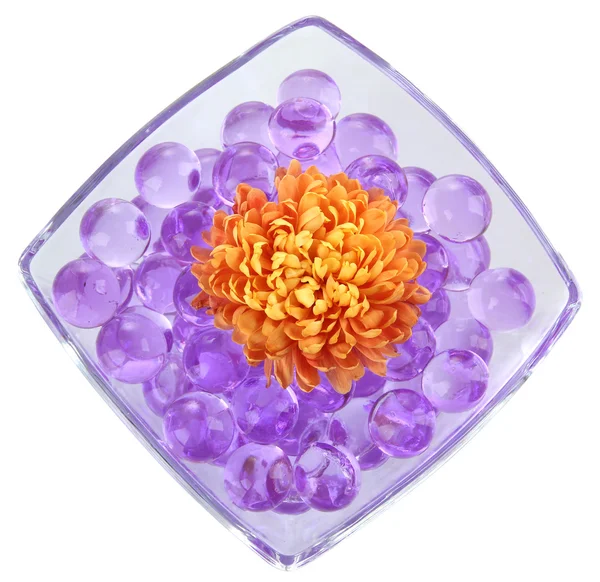 Piękne kwiaty w wazon z Hydrożel na białym tle — Zdjęcie stockowe