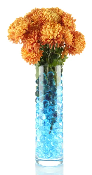 Schöne Blüten in der Vase mit Hydrogel isoliert auf weiß — Stockfoto