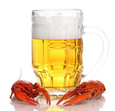 lezzetli haşlanmış crayfishes ve üzerinde beyaz izole bira