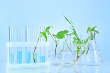 bitkilerde renk arka plan üzerinde test tüpleri