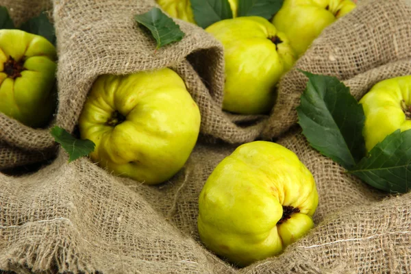 Sweet quinces with leaves, on burlap background — Stock Photo, Image