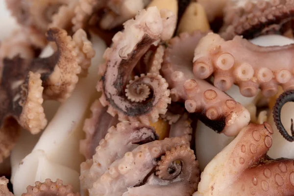 Tentacles of octopus, macro — Stock Photo, Image