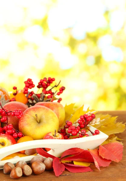 Mooie herfst compositie, op aard achtergrond — Stockfoto