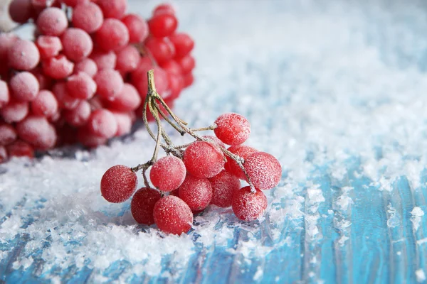 Red berries of viburnum with ice crystals, on blue background — Stock Photo, Image