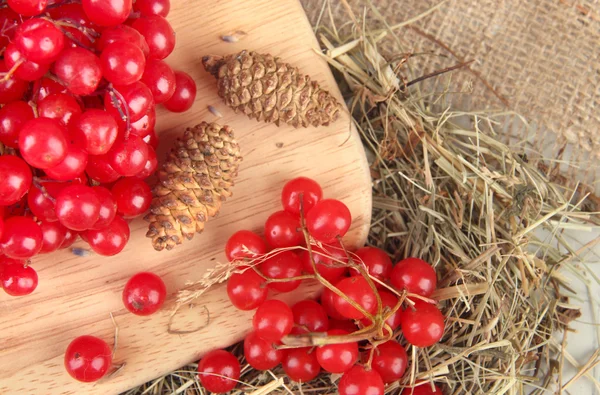 红色浆果的荚蒾台上用干草和木制背景上颠簸 — 图库照片