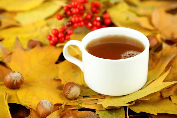 Tasse Heißgetränk, auf gelbem Hintergrund — Stockfoto