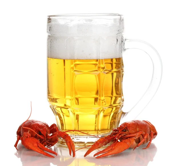 Tasty boiled crayfishes and beer isolated on white — Stock Image Tasty boiled crayfishes and beer isolated on white Stock Image