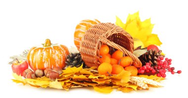 beyaz izole güzel sonbahar kompozisyon