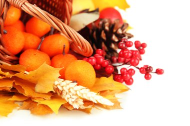 beyaz izole güzel sonbahar kompozisyon