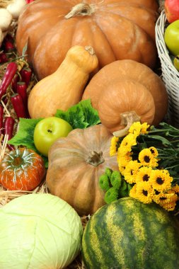 meyve ve sebze ile kompozisyon yakın çekim