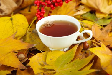 Sarı yaprak zemin üzerine sıcak içecek bir fincan