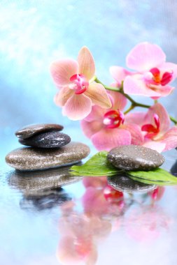 Güzel çiçek açan orkide su damlaları ve açık renk arka plan üzerinde spa taşlar ile kompozisyon