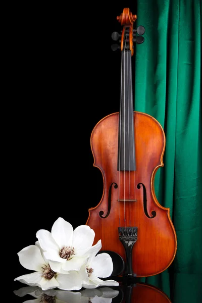 Violino classico su sfondo tenda — Foto Stock