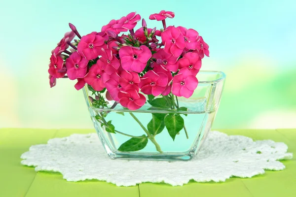Bellissimo bouquet di phlox in ciotola sul tavolo su sfondo chiaro — Foto Stock