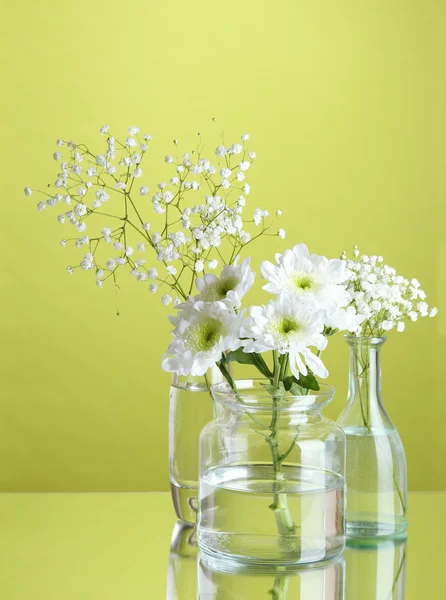 Plants in various glass containers on green background — Stock Photo, Image