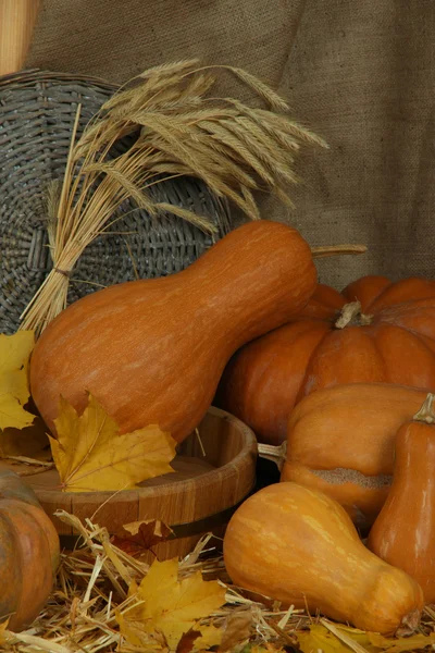 Pompoenen in houten tobbe met eerstelingsgarve en rieten staan op stro op rouwgewaad achtergrond — Stockfoto