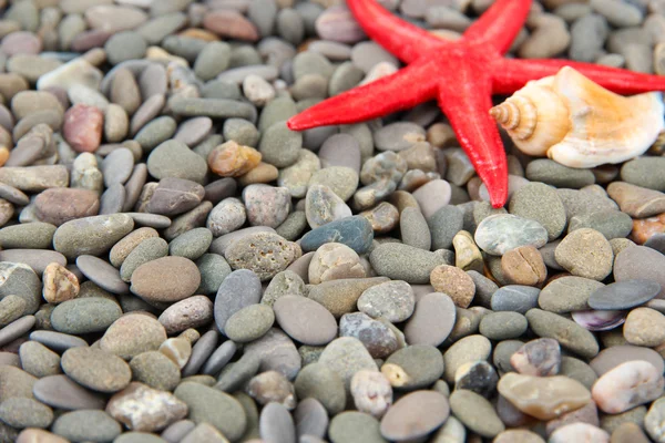 Malé mořské kameny a mušlí, zblízka — Stock fotografie