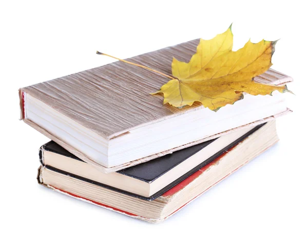Kitap ve sonbahar yaprak üzerinde beyaz izole — Stok fotoğraf