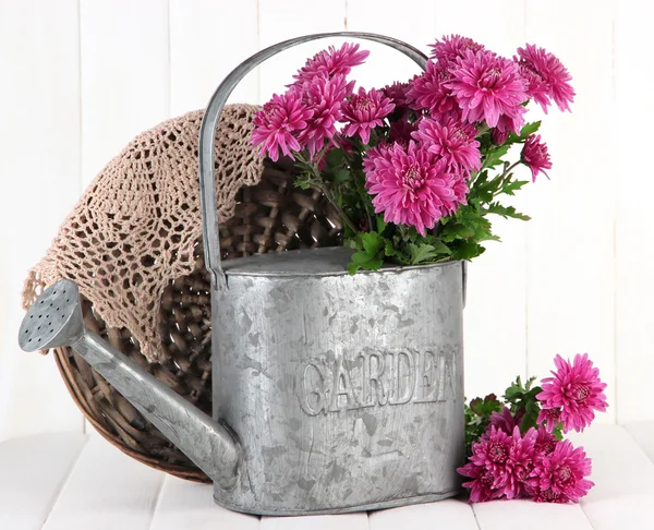 Bouquet di crisantemo rosa in annaffiatoio su fondo di legno bianco — Foto Stock