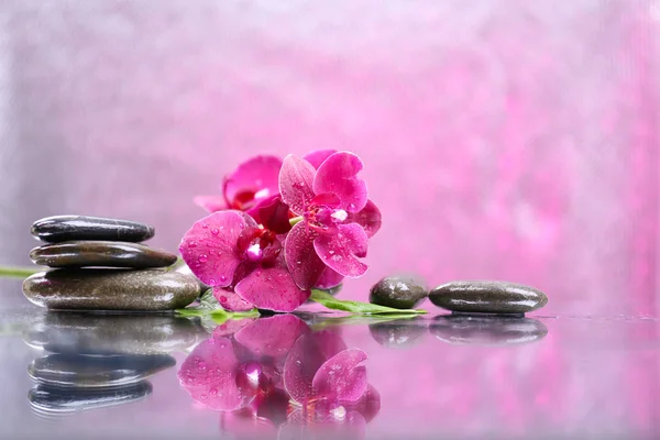 Komposition mit schöner blühender Orchidee mit Wassertropfen und Wellness-Steinen, auf hellem Hintergrund — Stockfoto