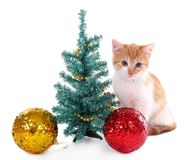 Pequeño gatito con adornos navideños aislados en blanco — Foto de Stock