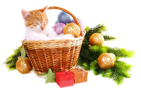 Pequeño gatito con adornos navideños aislados en blanco —  Fotos de Stock