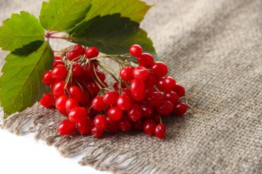 Kartopu üstünde çul peçete, üzerinde beyaz izole kırmızı meyveler