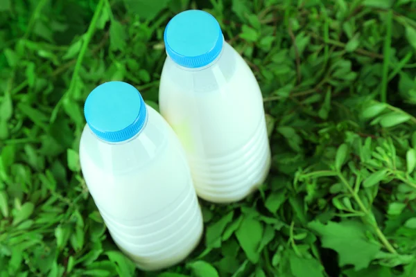 Milk in bottles on grass — Stock Photo, Image