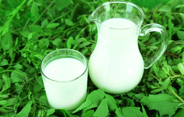 Krug und Glas Milch auf Gras — Stockfoto