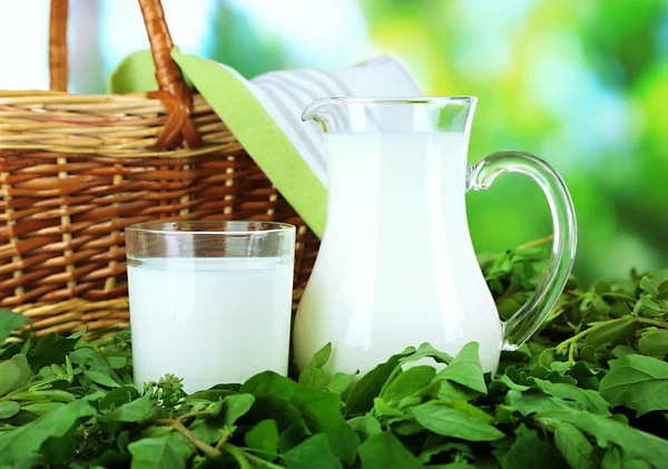 Jarra y vaso de leche sobre hierba sobre fondo natural — Foto de Stock