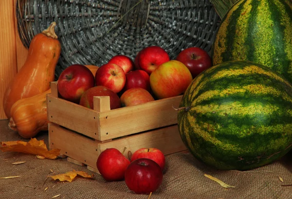 Äpplen i låda med vattenmeloner och pumpor på säckväv på wicker bakgrund — Stockfoto