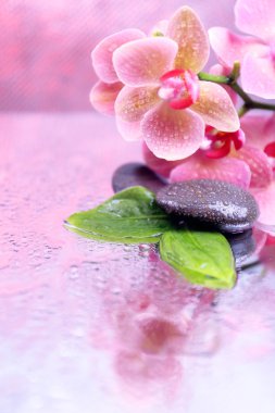 Güzel çiçek açan orkide su damlaları ve açık renk arka plan üzerinde spa taşlar ile kompozisyon