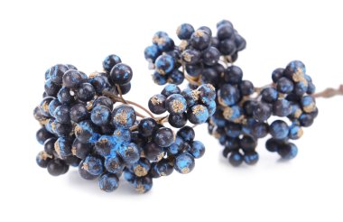 yapay meyveler, üzerinde beyaz izole