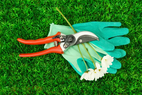 Gartenschere mit Blume auf grünem Gras Hintergrund — Stockfoto