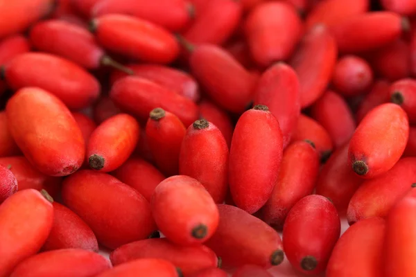 Rijpe barberries, close-up — Stockfoto