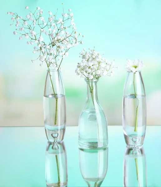 Piante in vari contenitori di vetro su sfondo naturale — Foto Stock