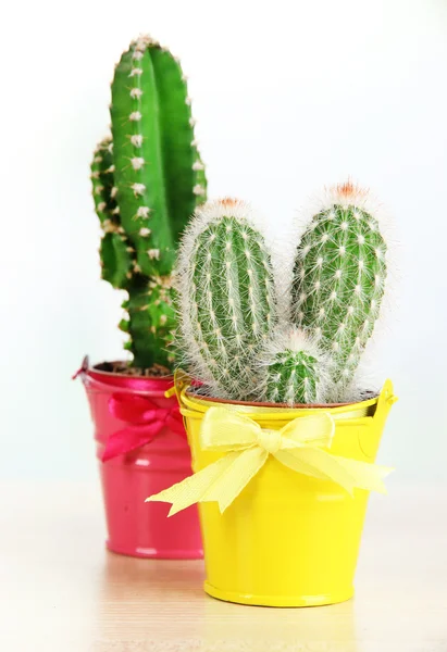 Beautiful cactuses in bright pails on wooden table — Stock Photo, Image