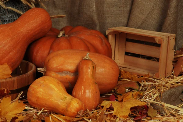 Pumpkins with crate on straw on sackcloth background — Stock Photo, Image