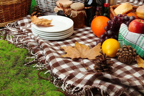 Picnic al aire libre de cerca — Foto de Stock