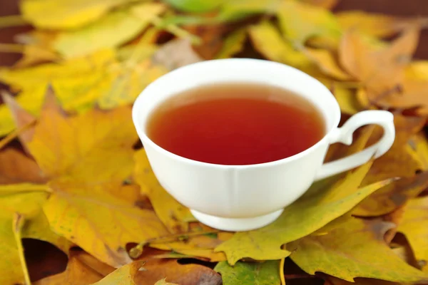Cup of hot beverage, on yellow leaves background