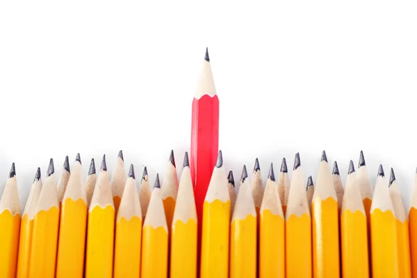 Celebratory pencil among usual pencils, isolated on white — Stock Photo, Image